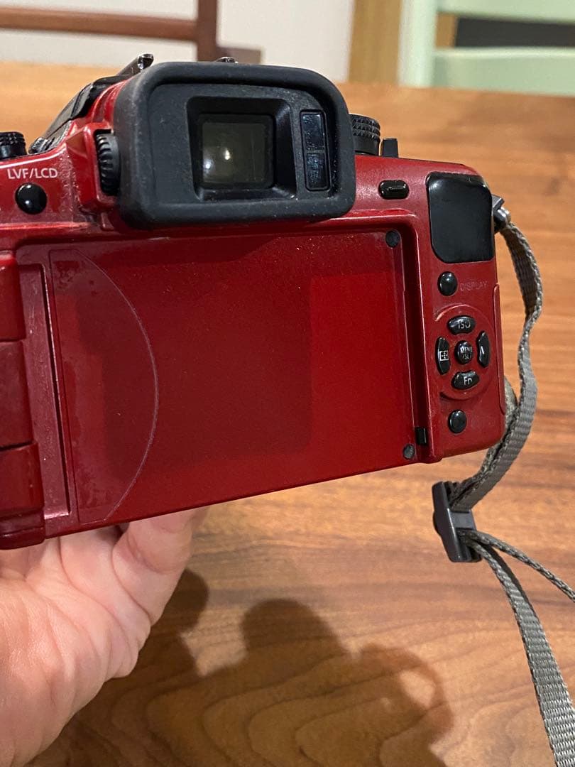 LUMIX G1 ミラーレス一眼　ニコンシリーズE 70-210 動作品　望遠