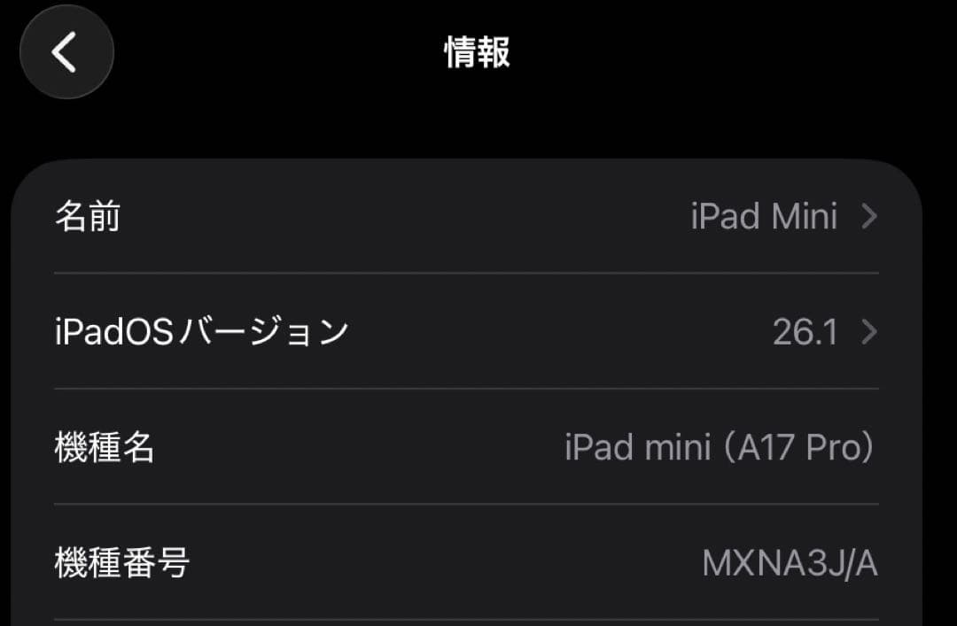 iPad Mini 第7世代 256gb Wi-fi AppleCare