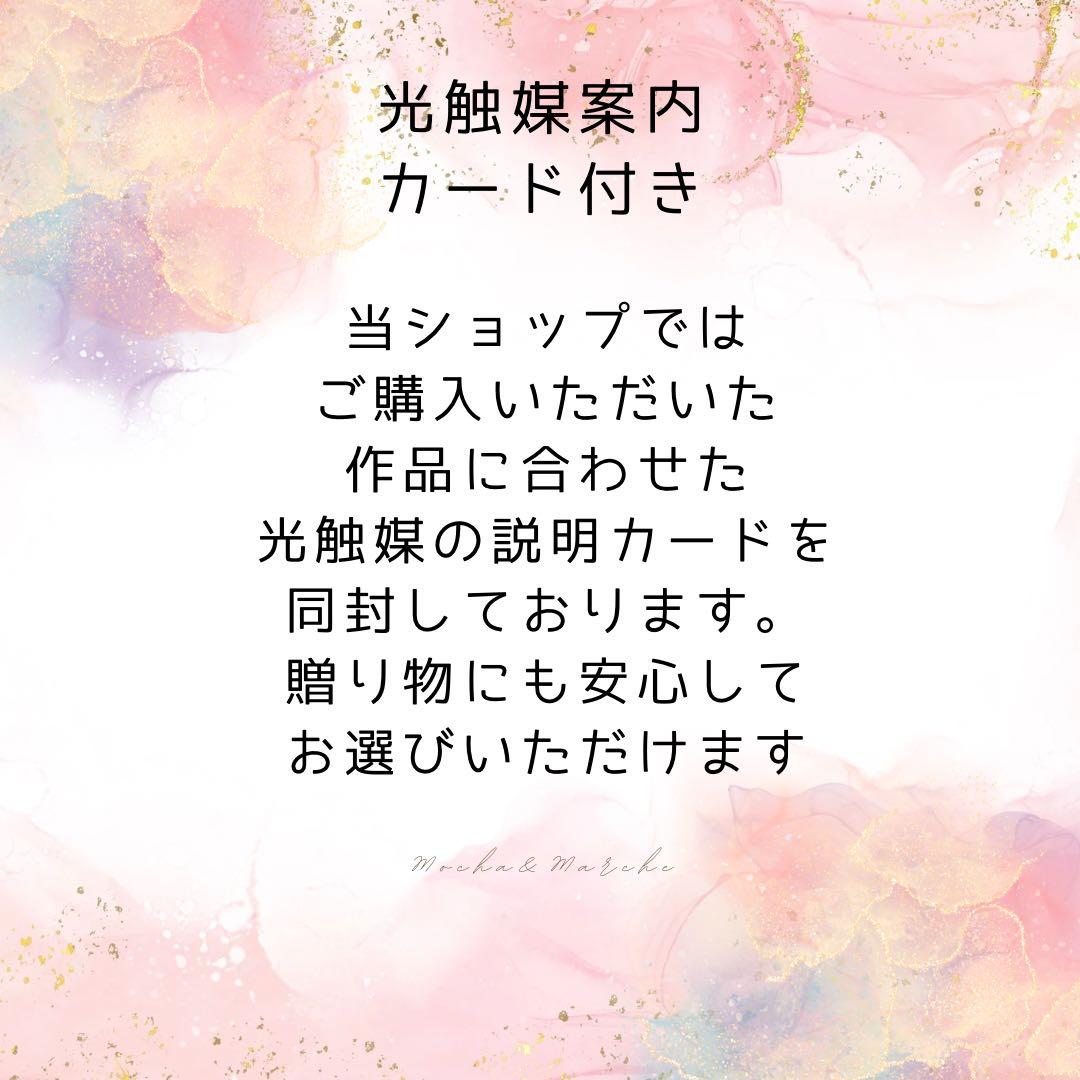 みるきぃまま クラウンベアとピンクローズのクリスマスギフトセット