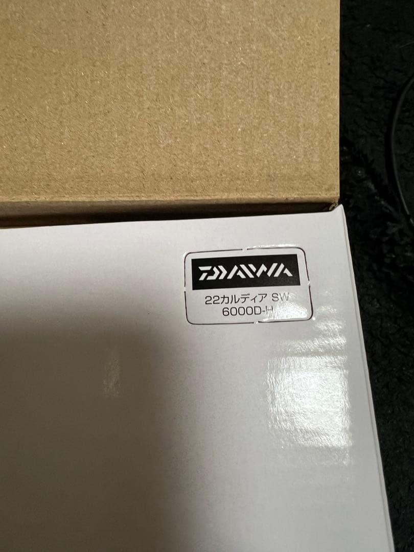 DAIWA CALDIA SW 6000D-H カバーおまけ付き