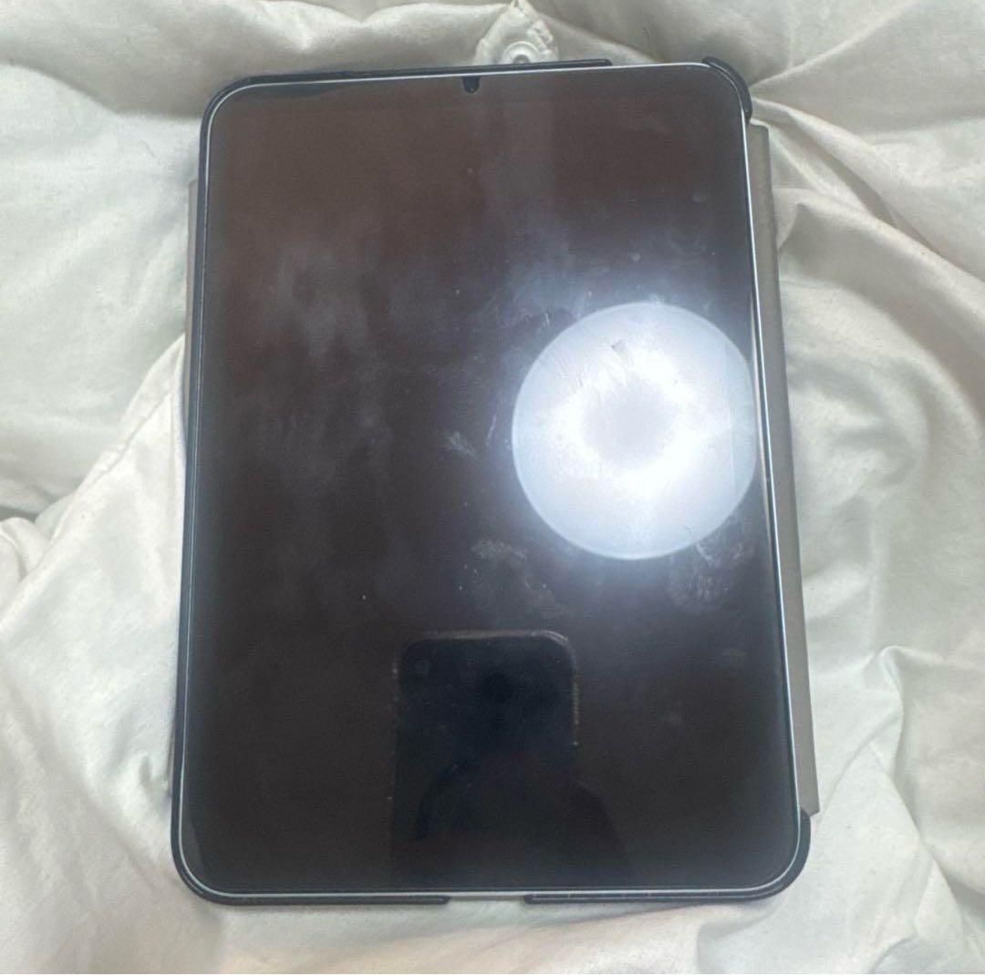 iPad mini (A17pro)本体 switch easyのカバー付き