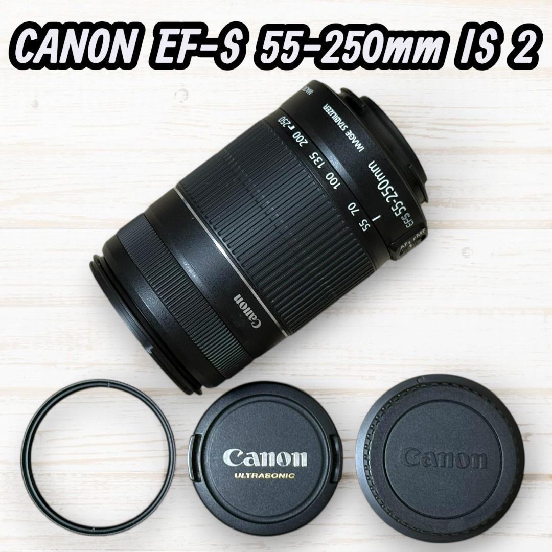 Canon ズームレンズ EF-S 55-250mm IS Ⅱ #111