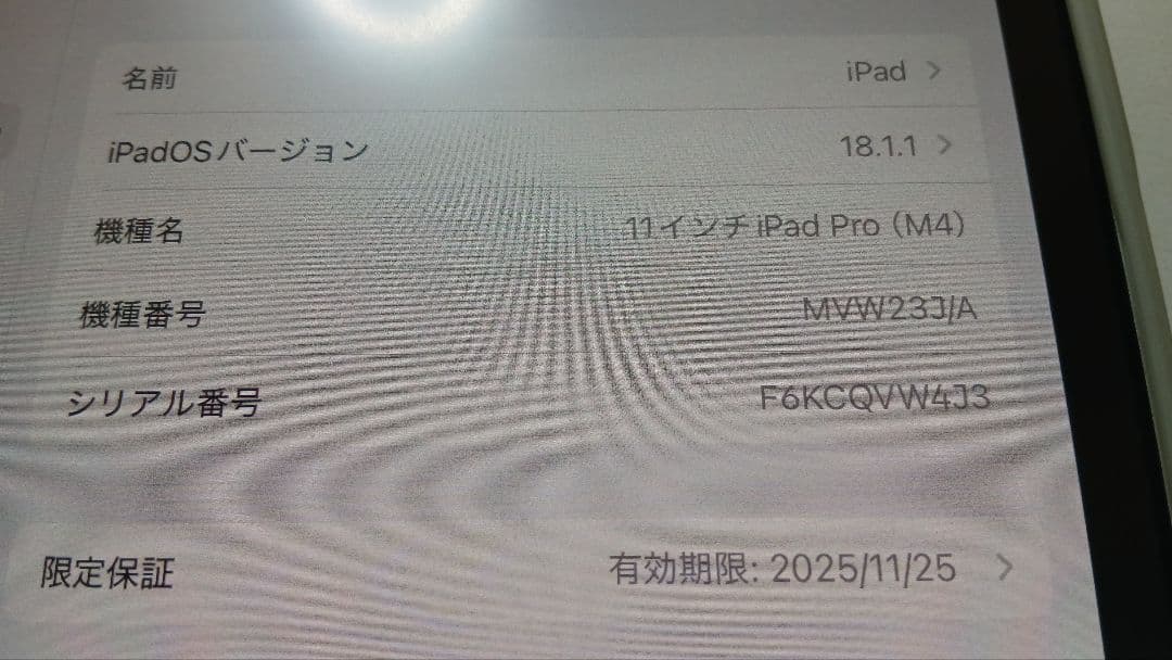 ほぼ新品 iPadPro M4 256 11インチ シルバー Cellular