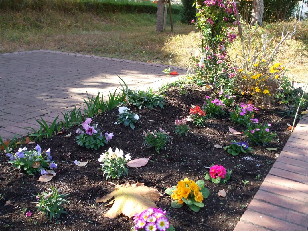 実写美⭕️【動作確認済み】FUJIFILM FinePix A900