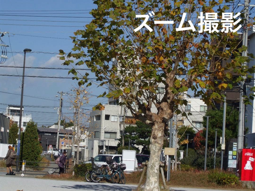 実写美⭕️【動作確認済み】FUJIFILM FinePix A900