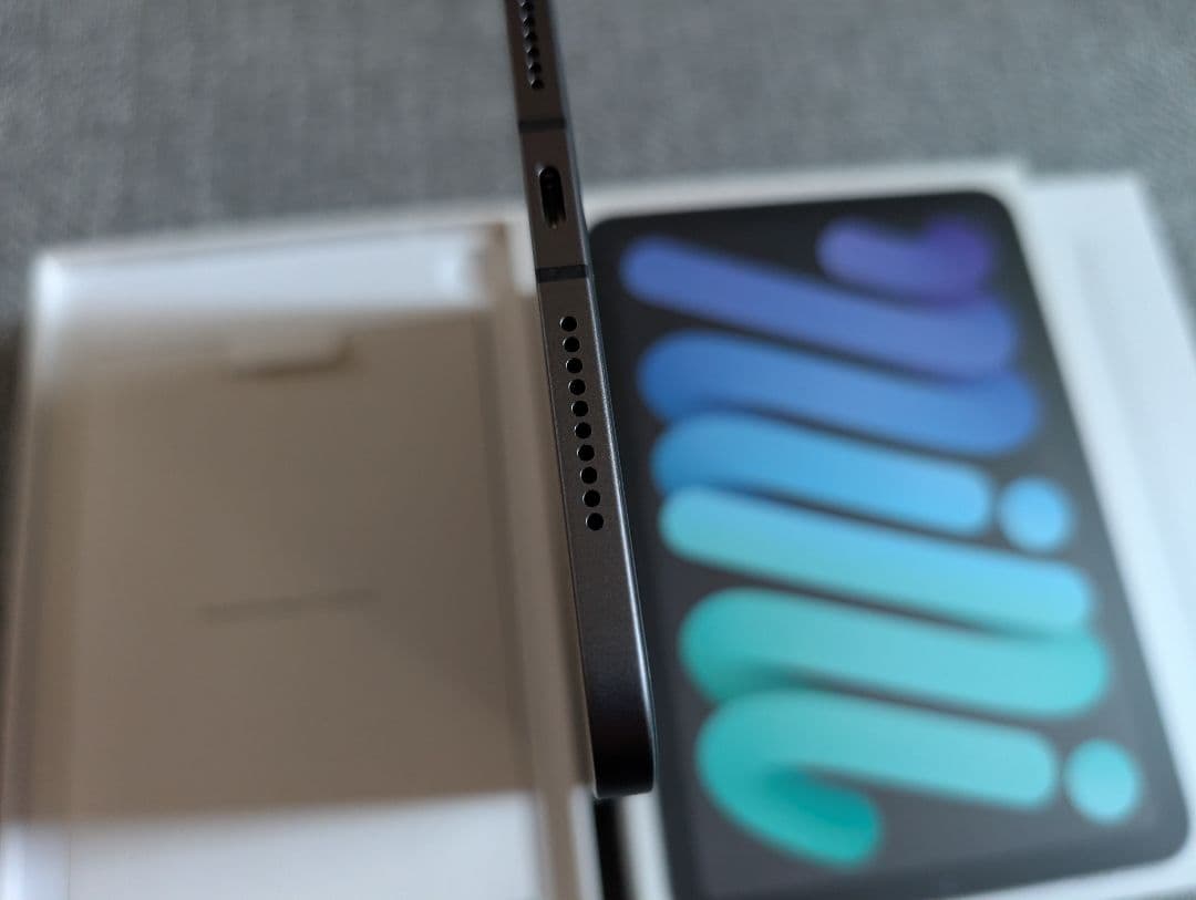 100% 超美品 iPad mini 6 WiFi + セルラー 256GB