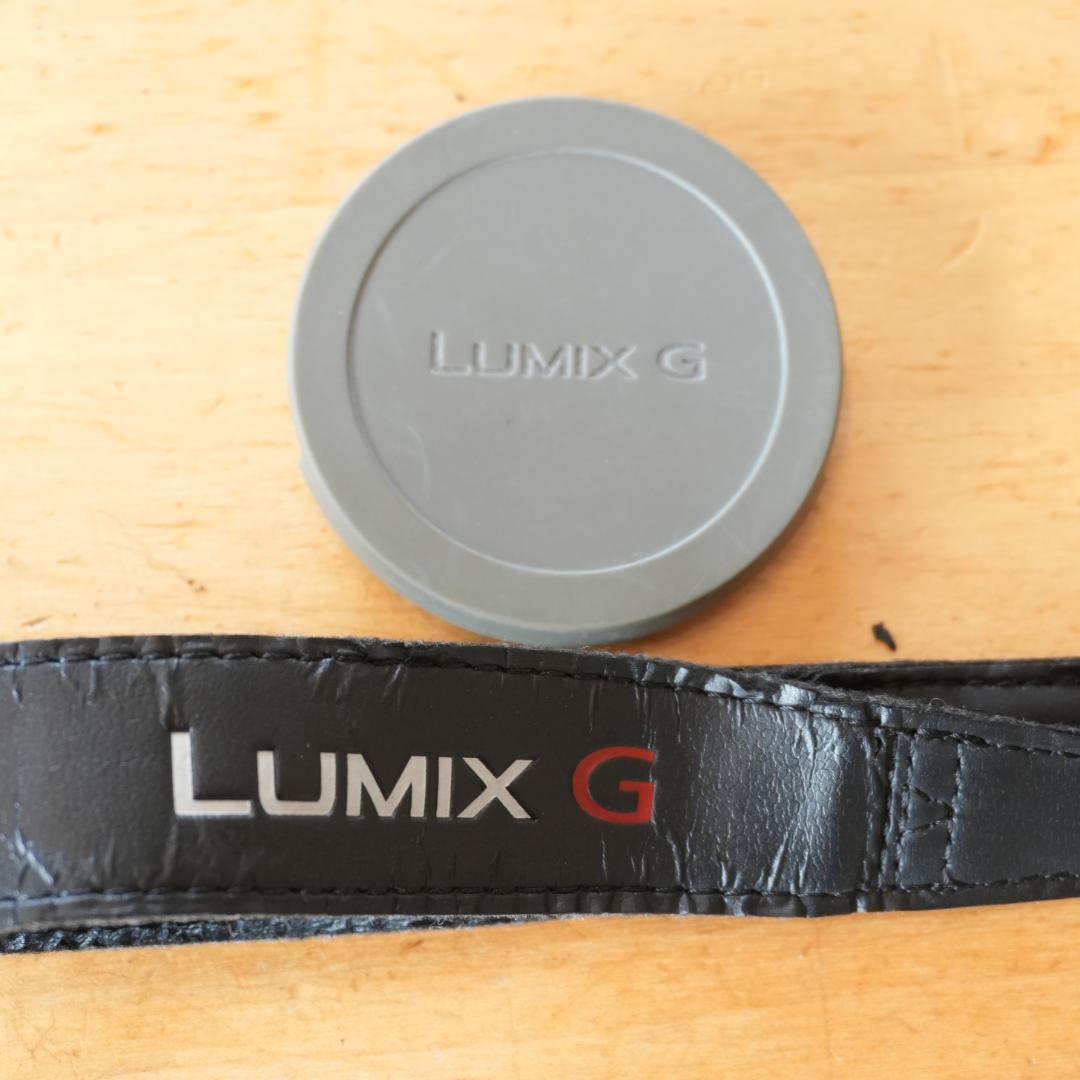 【美品】LUMIX DMC-GX7MK2L LEICAレンズ付き