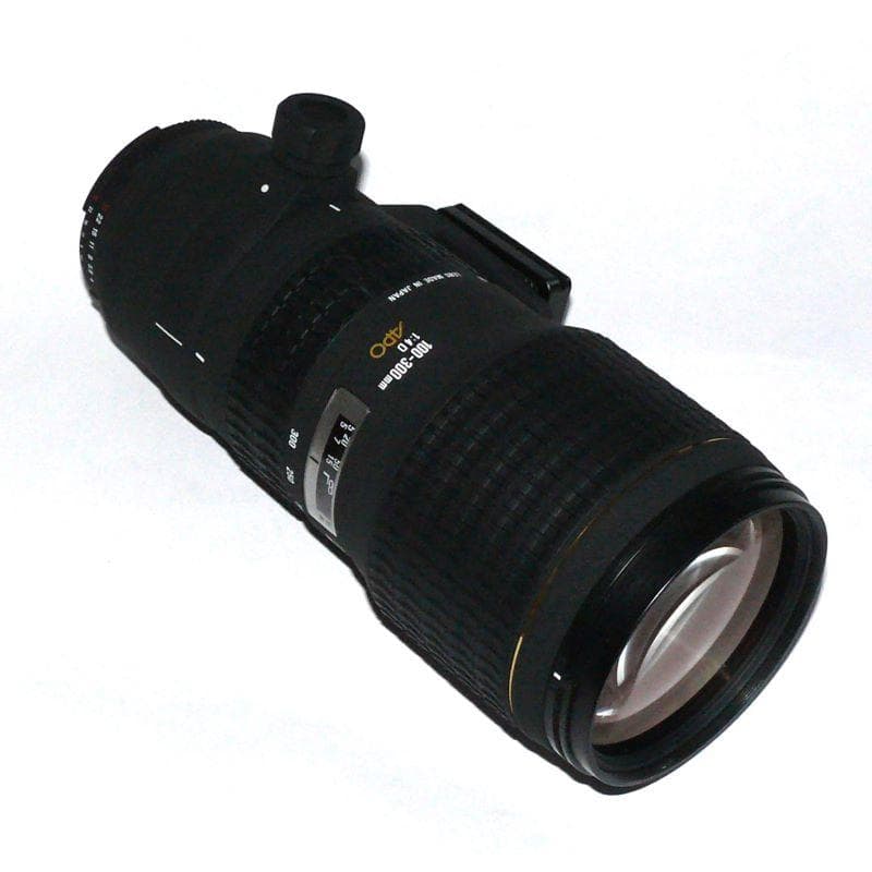 SIGMA AF 100-300mm F4 APO EX IF HSM ニコンF