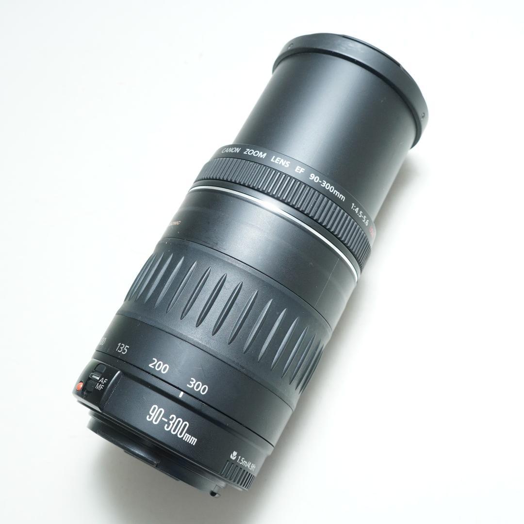 超望遠レンズで狙い撃ち★キャノン★EF 90-300mm 4.5-5.6 USM