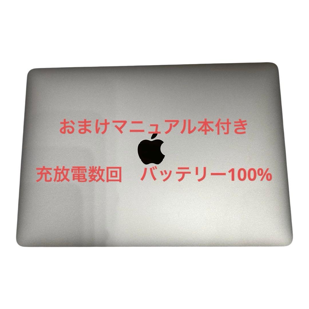 【充放電回数一桁】M1 256GB