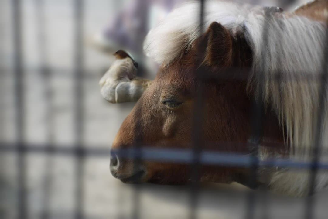 【すぐ遊べるセット】LUMIX G1 ＋ Cマウント35mm単焦点