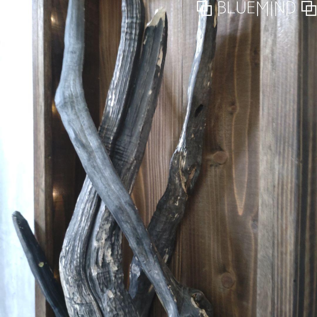 No.1229 黒流木の照明付きオブジェ 流木インテリア