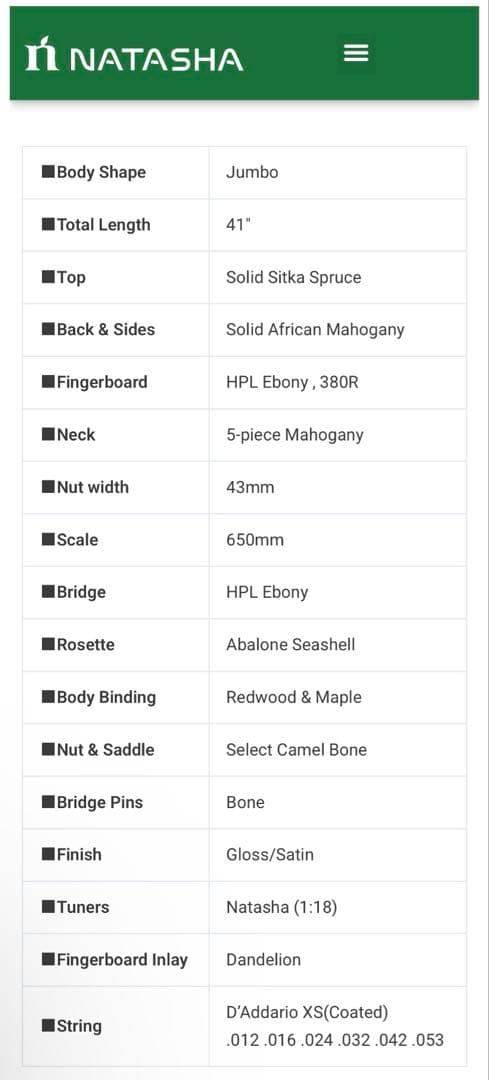 【最終値下】美品　アコースティックギター　ナターシャ　NATASHA JC-4