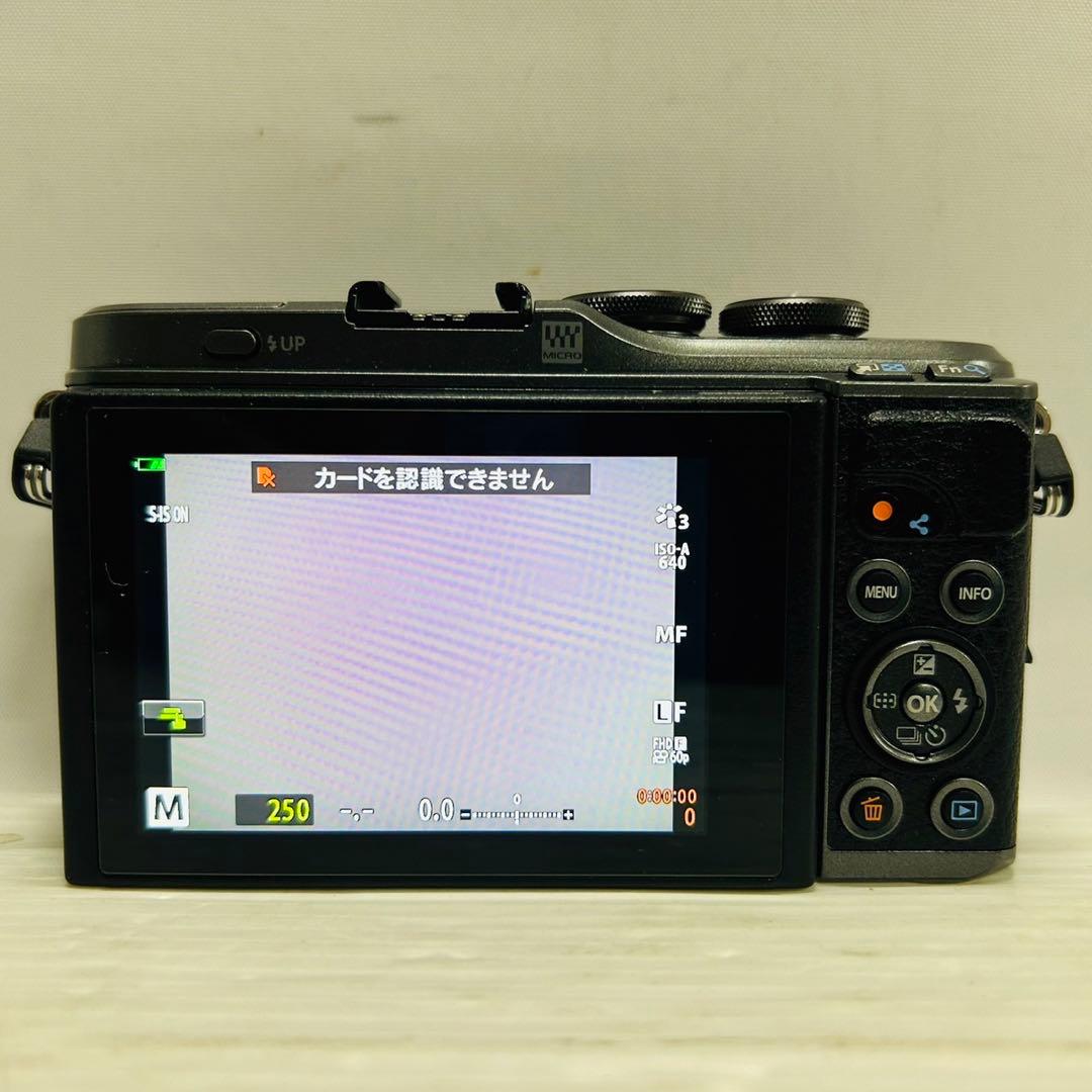 ★新品未使用★OLYMPUS PEN E-PL10 ボディ 純正　99