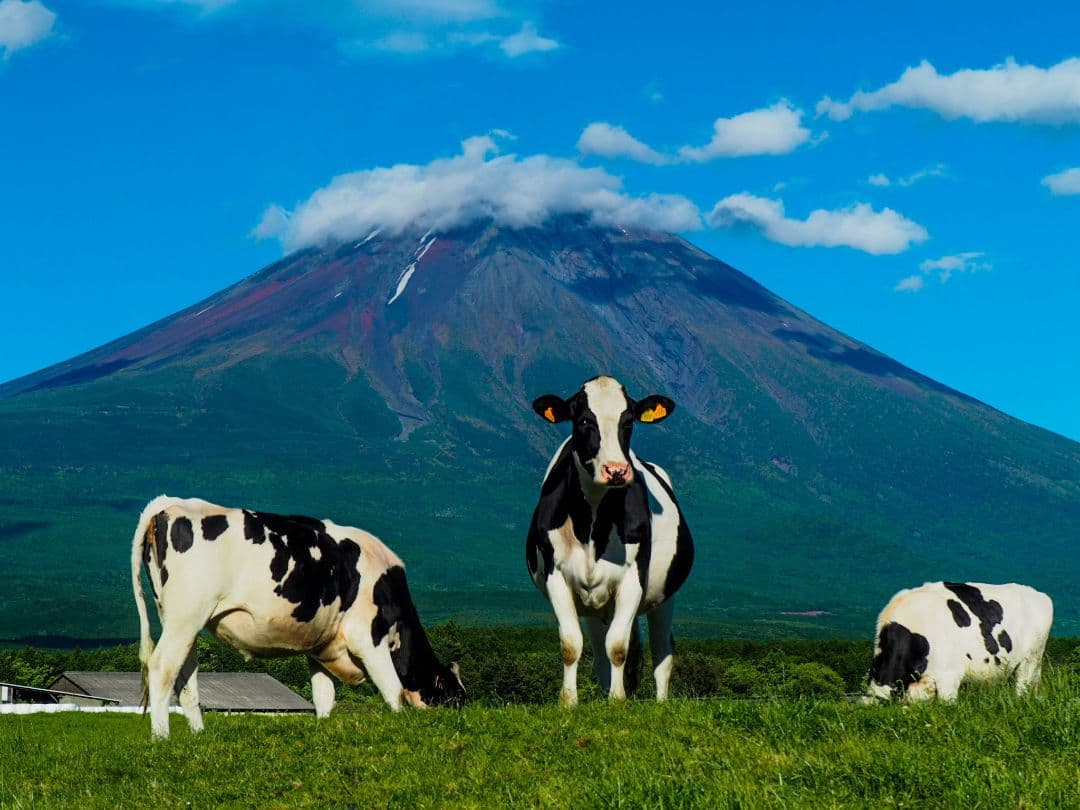 OLYMPUS OM-D E-M10 レンズなし 傷だらけ