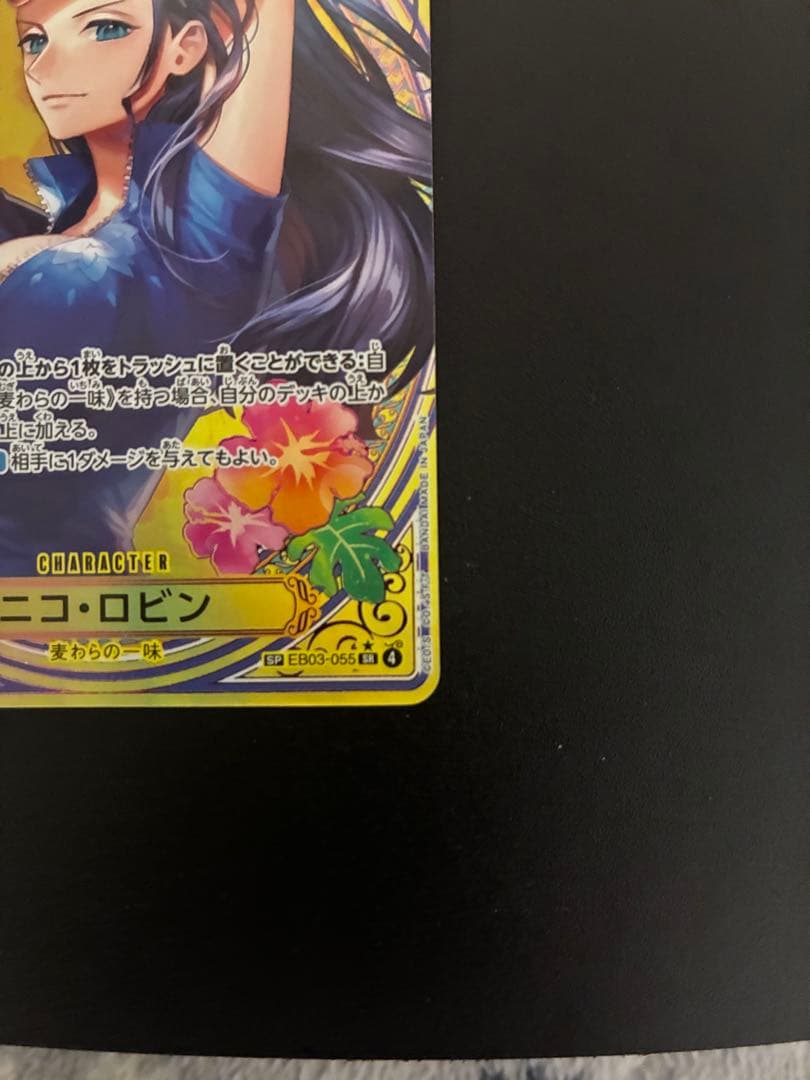 ロビンsp パラレル