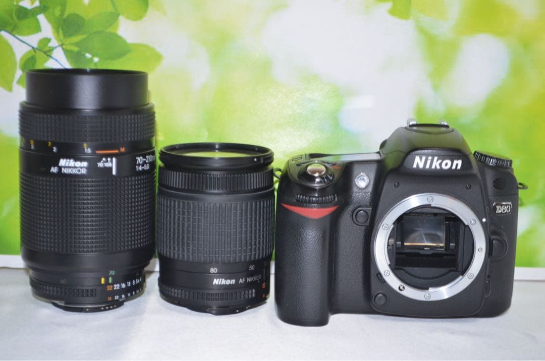 Nikon D80☆スマホに転送OK☆色鮮やか一味違う一眼レフ☆