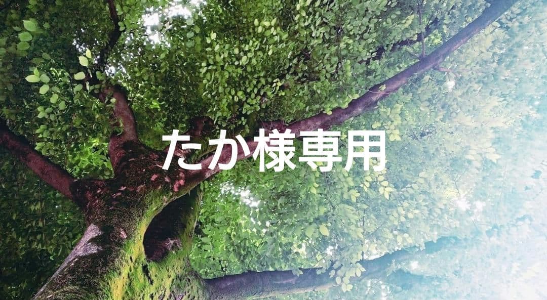 たか✨特典付電磁波防止✨本物CMCペンダントUSA版　4本お値引き