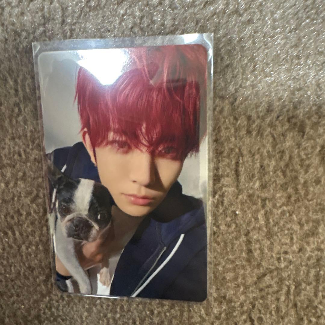 ENHYPEN 2025 アンケート トレカ ヒスン