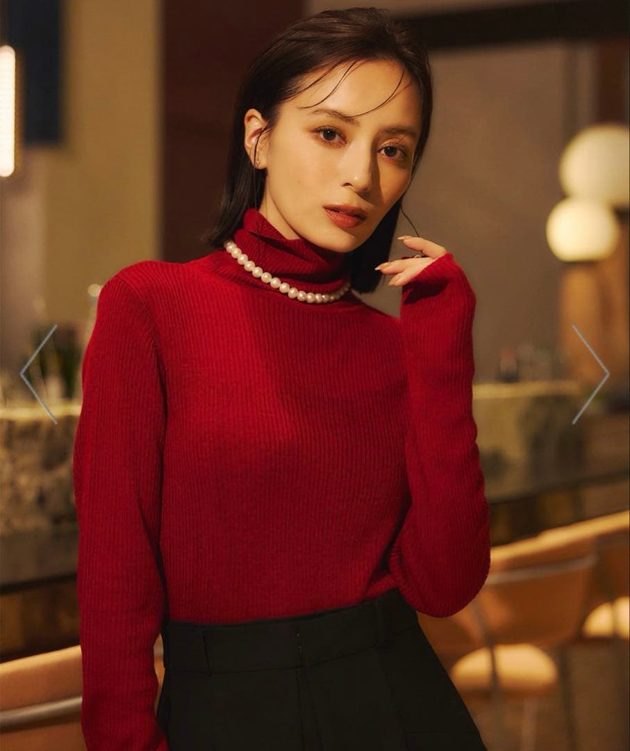 専用 アニュアンス ハイゲージウールフィットリブタートルニット レッド