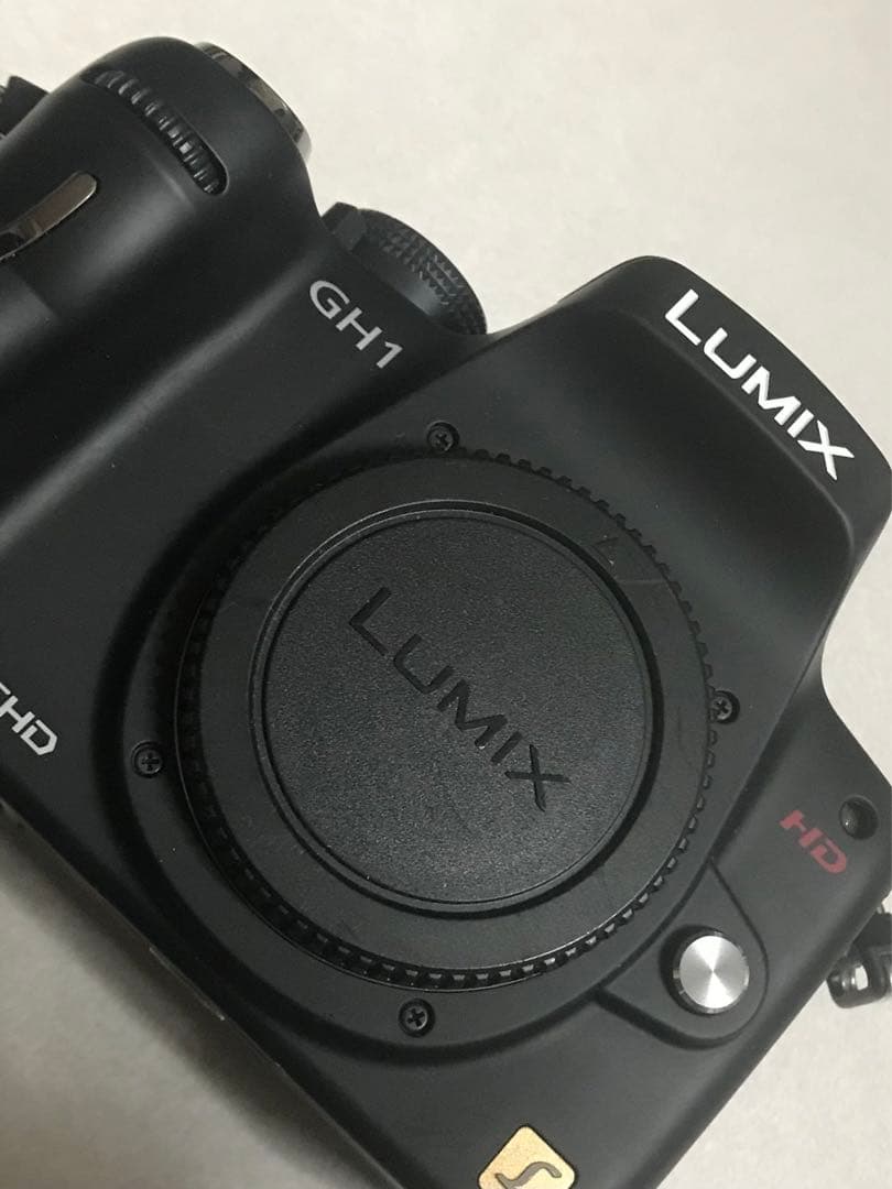 ルミックス LUMIX GH1 パナソニック ミラーレス一眼