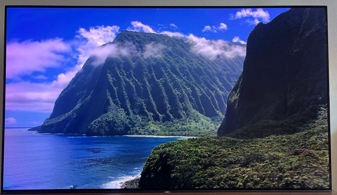 テレビ SONY BRAVIA A1 KJ-65A1