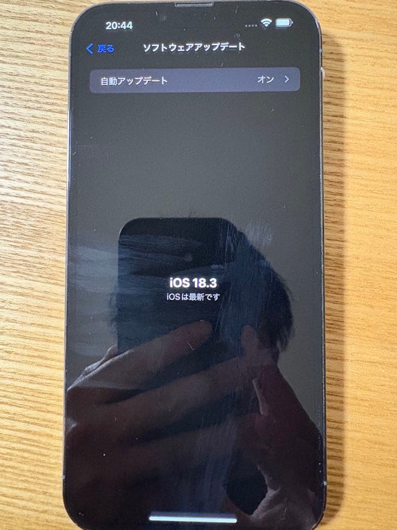 Apple iPhone 13 Promax シエラブルー 本体