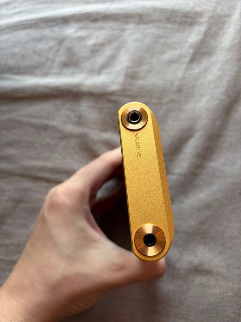 SONY NW-WM1ZM2 ゴールド　ケース付き