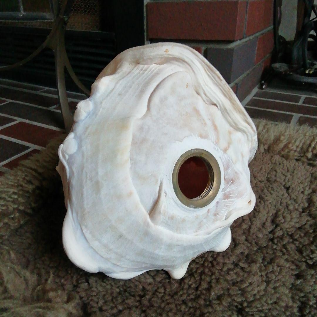 麦ちゃ様　　古典的な神話の彫刻貝殻と青銅スタンド