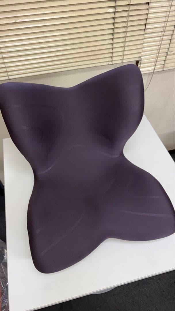 MTG スタイルプレミアム 骨盤矯正クッション　新品未使用