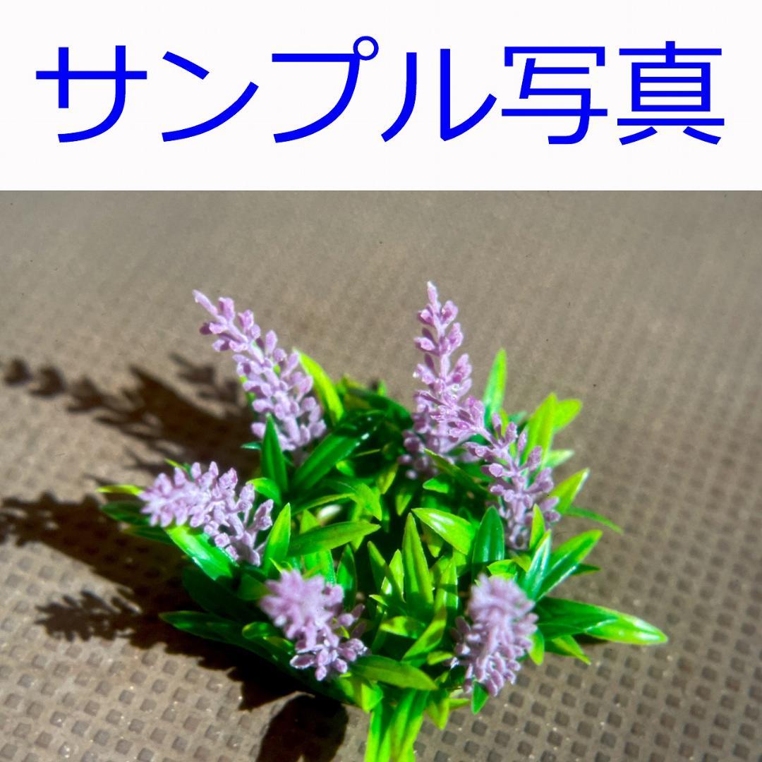 フィルムカメラ Pentax SP