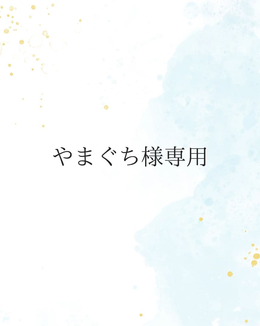 ⭐︎やまぐち⭐︎　【美品】ピトレスク ユナイテッドアローズコラボ 抱っこ紐