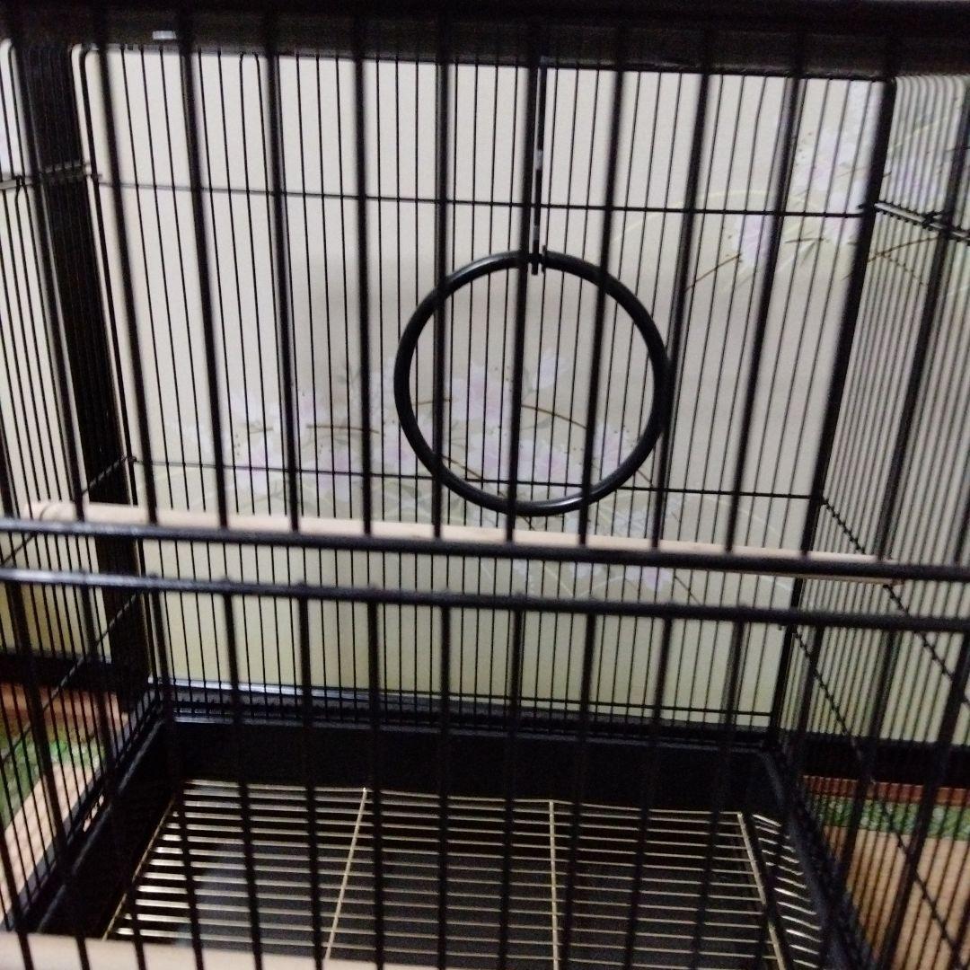 未使用　マルカン　バードパレスキング2台