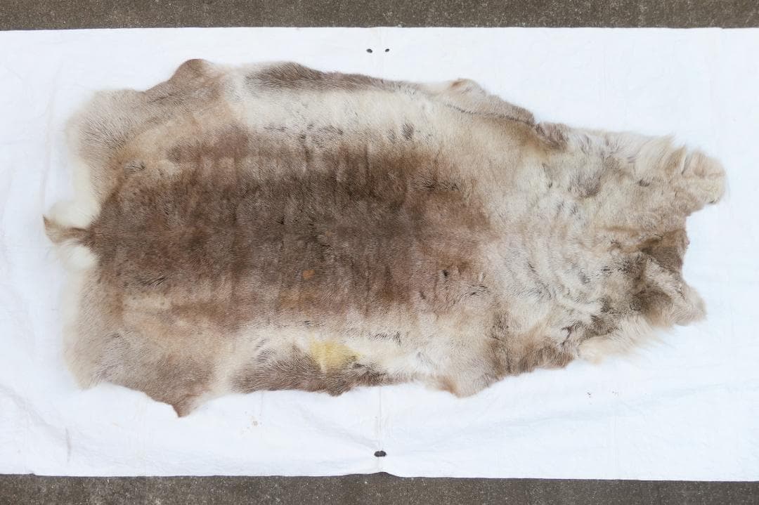 トナカイ　毛皮　フィンランド産　ラグ　敷物　キャンプ　ブッシュクラフト