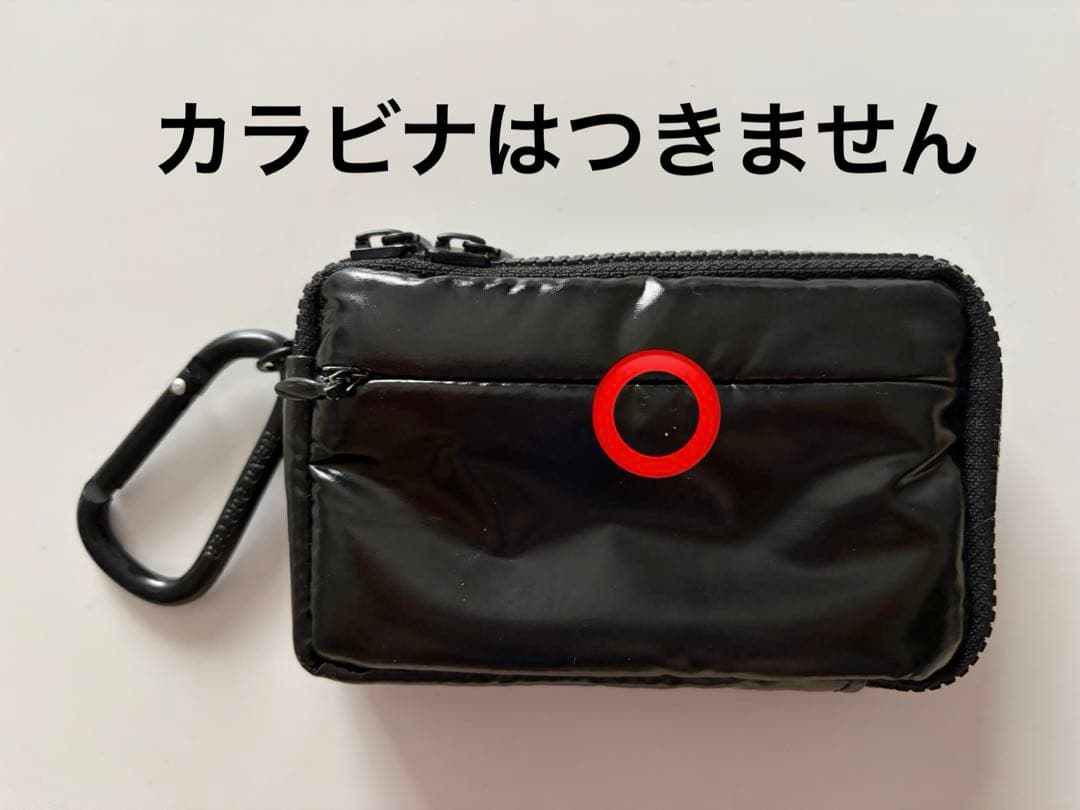 【美品】 SONY Cyber-shot DSC-WX350 POTERケース