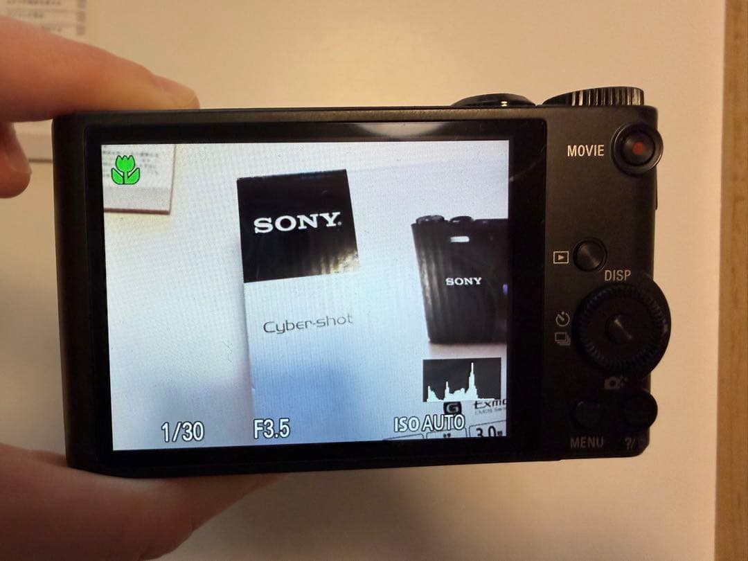 【美品】 SONY Cyber-shot DSC-WX350 POTERケース