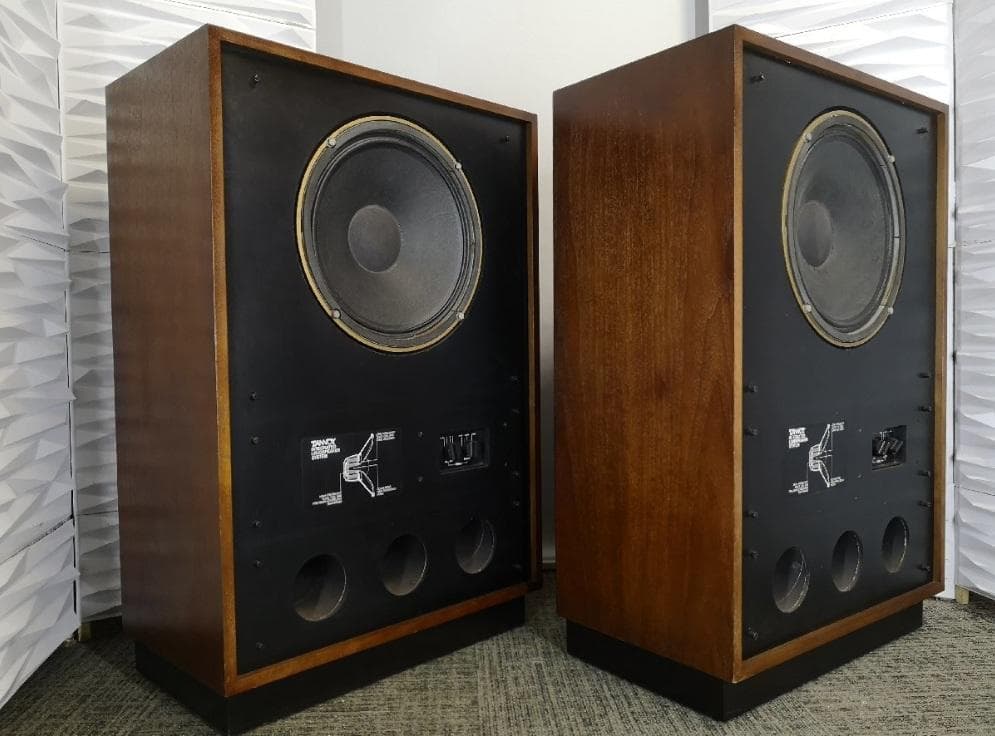 えだひこ TANNOY ARDENエッジ新品 ペア1台目（１本のみ）