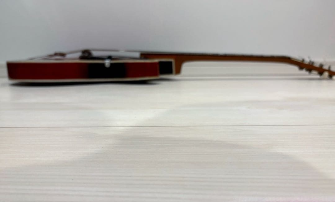 ビザール　アーチトップ　ピックギター　フルアコ　セミアコ　アコースティックギター