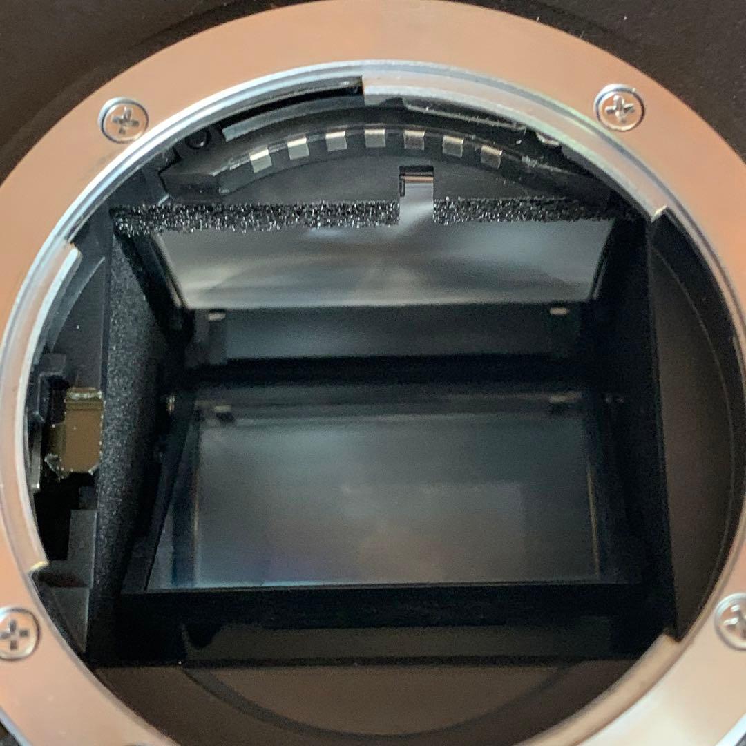 ニコン Nikon D100 デジタル1眼カメラ