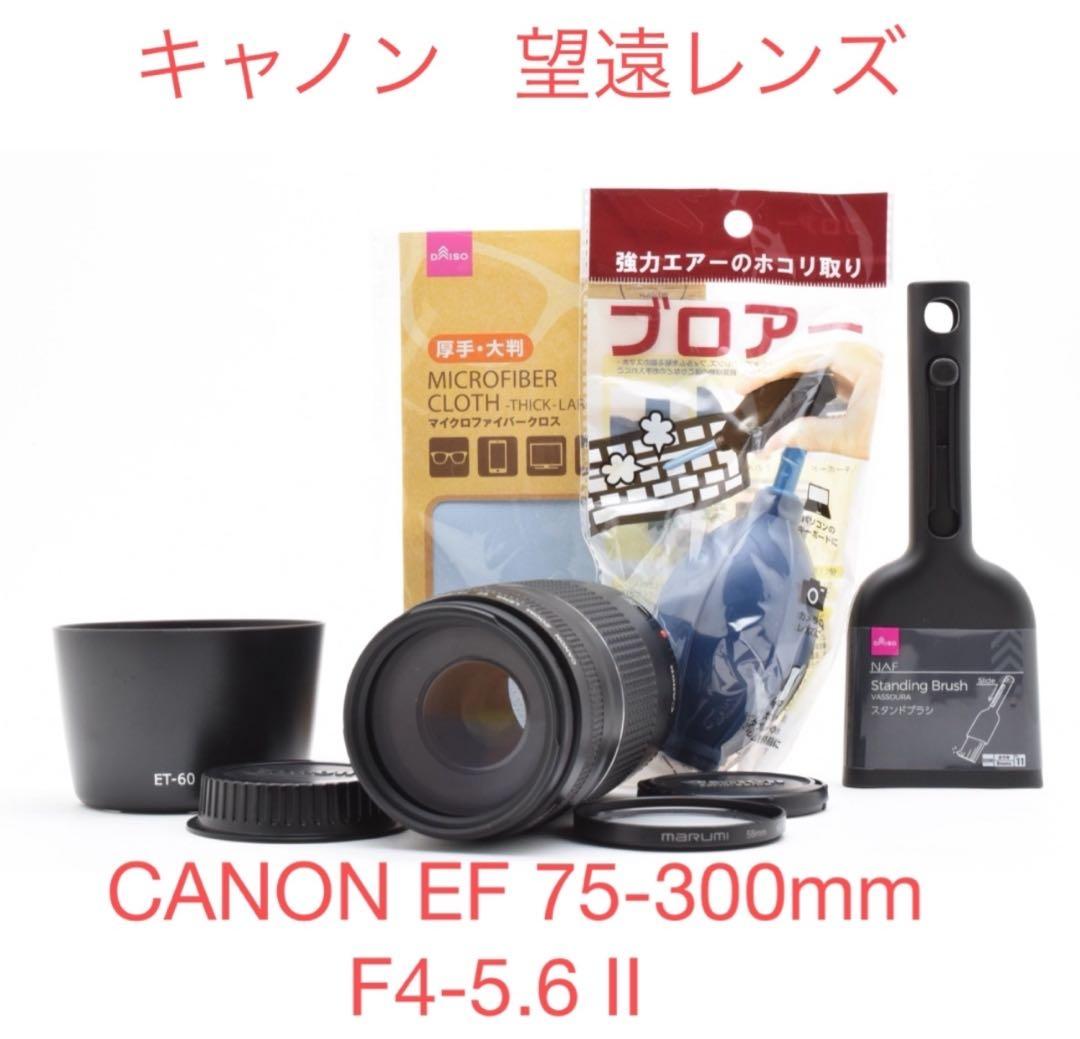 キャノン 望遠レンズCANON EF 75-300mm F4-5.6 III