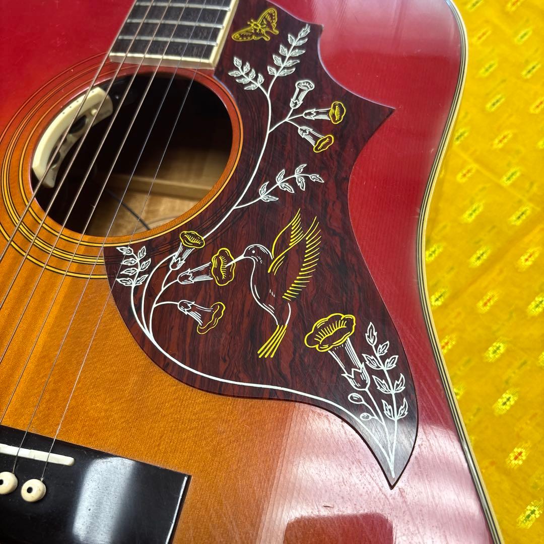 エレアコ仕様 Morris アコースティックギター