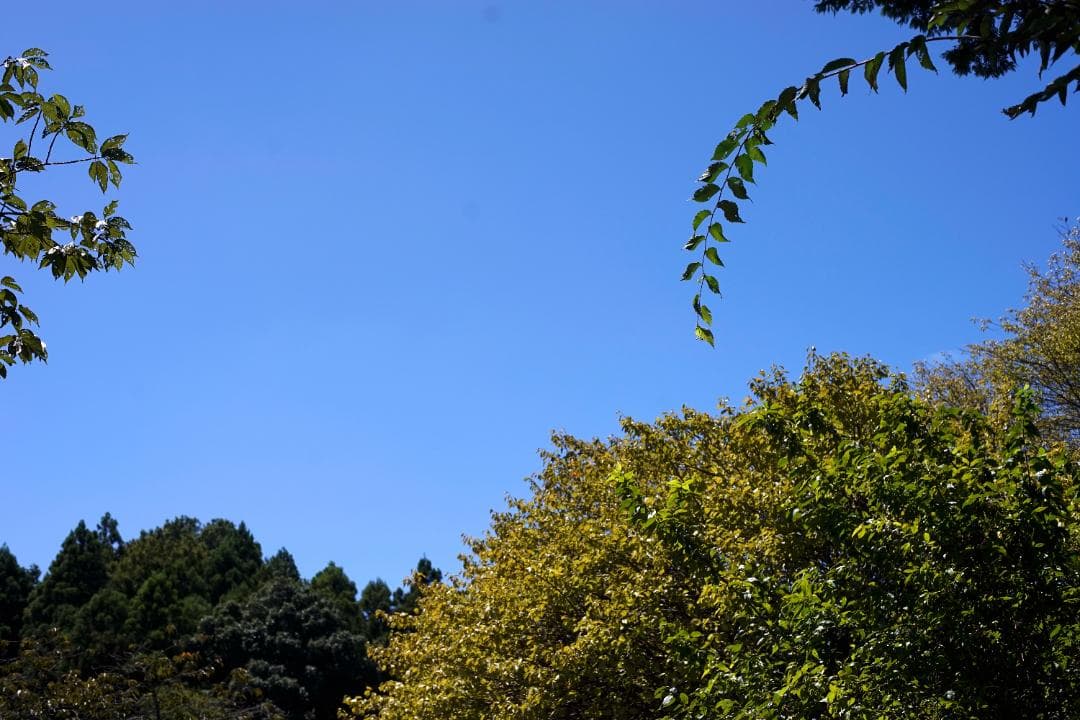 RICOH XR RIKENON 50mm f2 L Kマウント 整備済 完動品