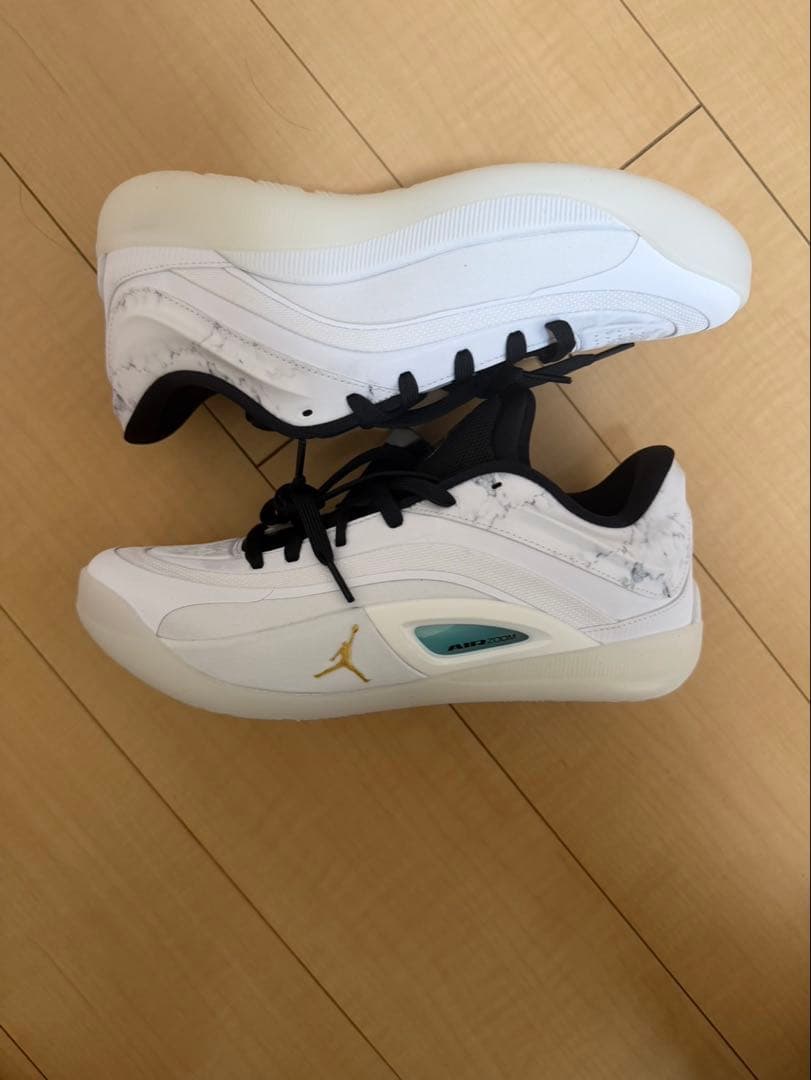 う*ん様 Nike Jordan Zion 4