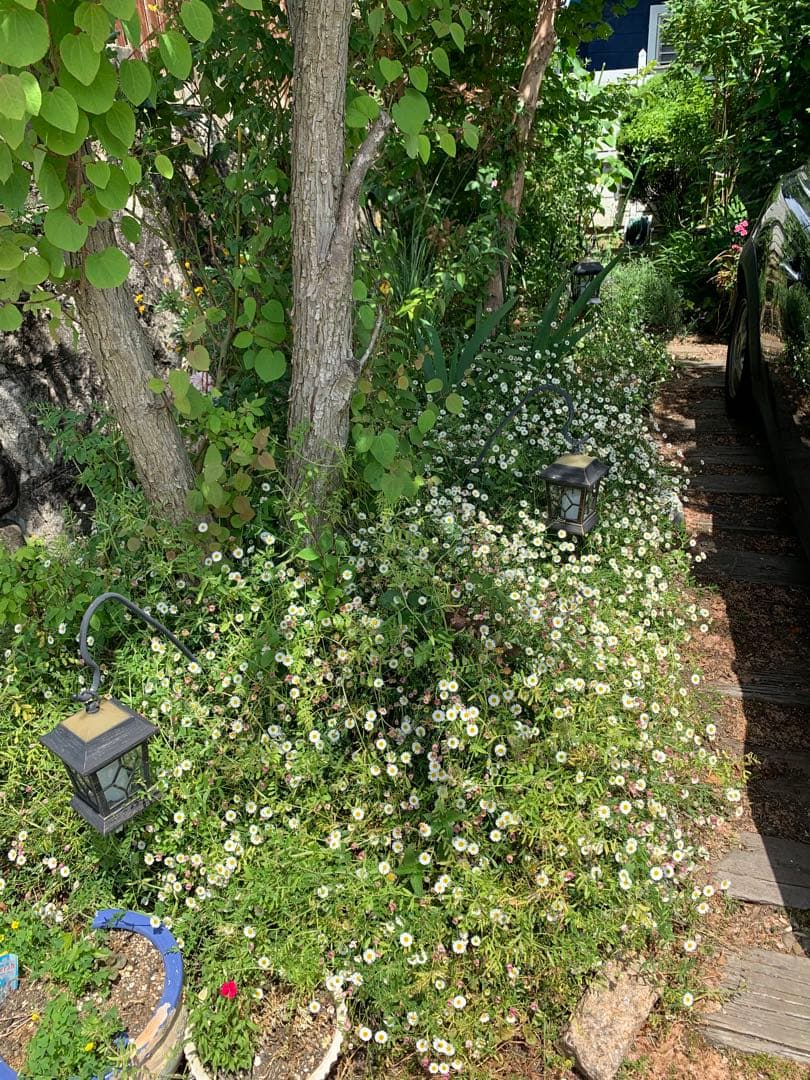 ヴィヴィアンウェストウッドの素敵な時計です。 とても美品です。