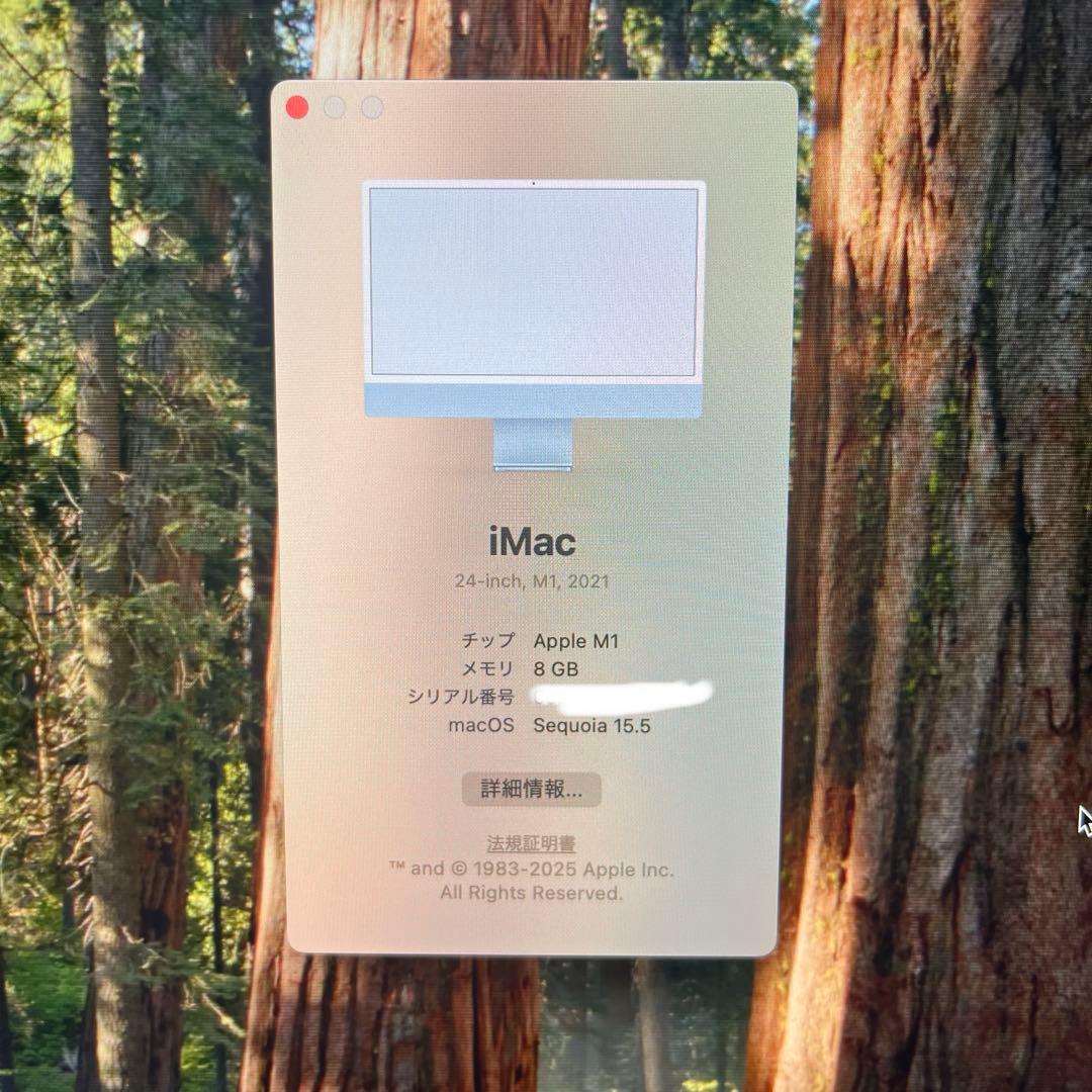 (訳あり)iMac M1本体＋電源ケーブル