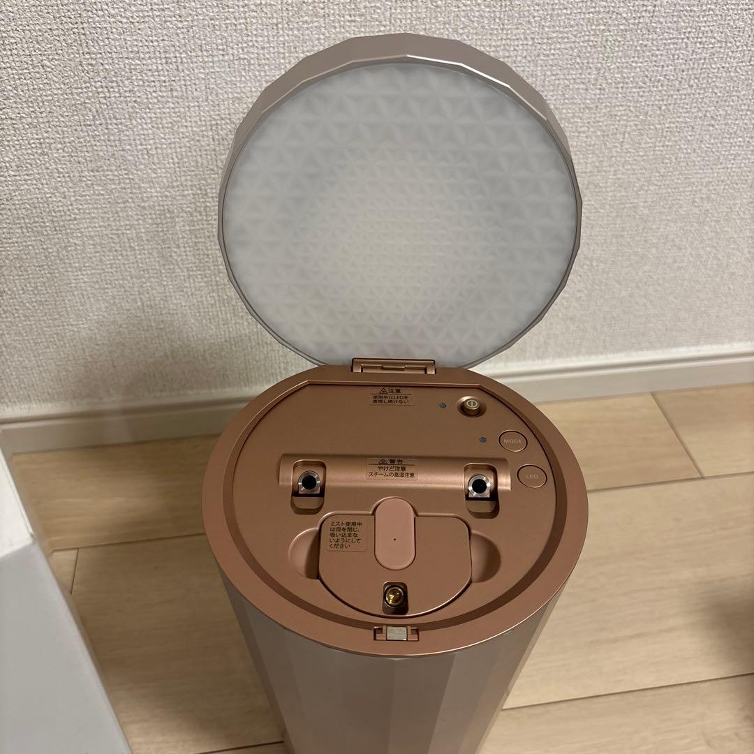 YA-MANヤーマン フォトスチーマー IS-100P