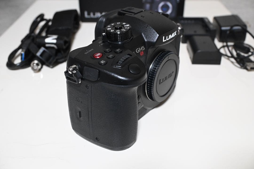 Panasonic パナソニック GH5S DC-GH5S 付属品・箱付き