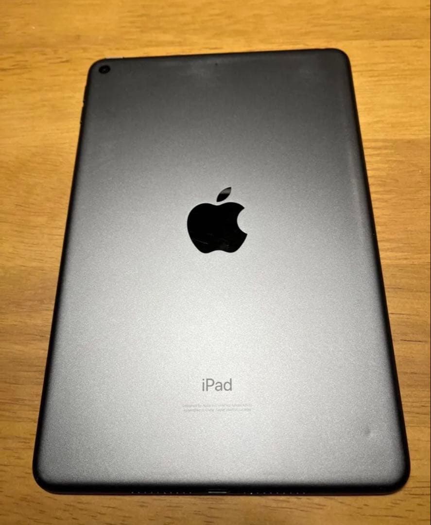 Apple iPad mini 5 スペースグレー 本体　256GB A2133