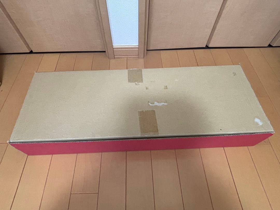 カシオペア mini フォックス ARF Red