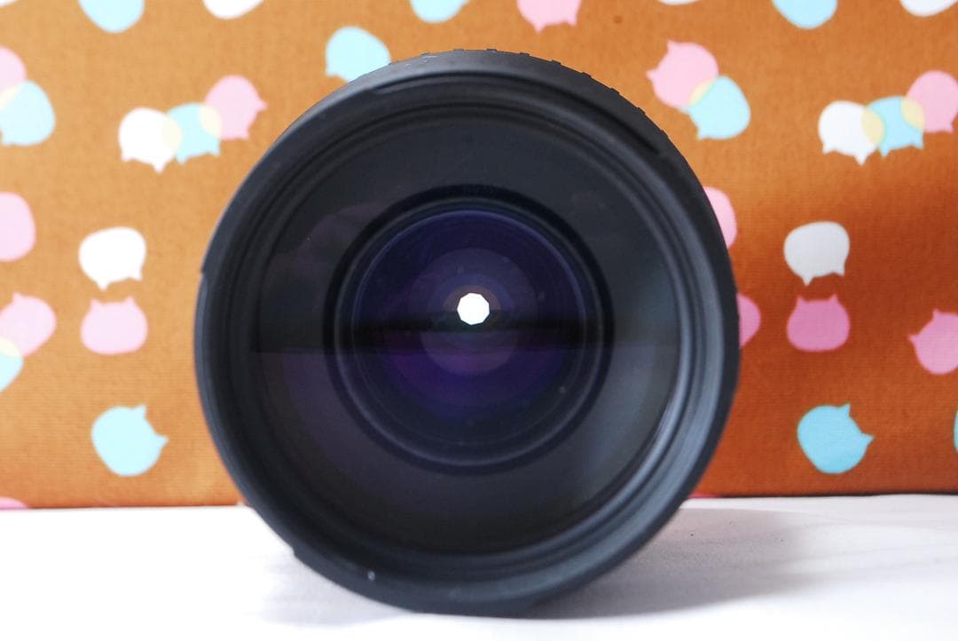 ✨美品✨望遠レンズ付き✨Nikon D200 レンズセット